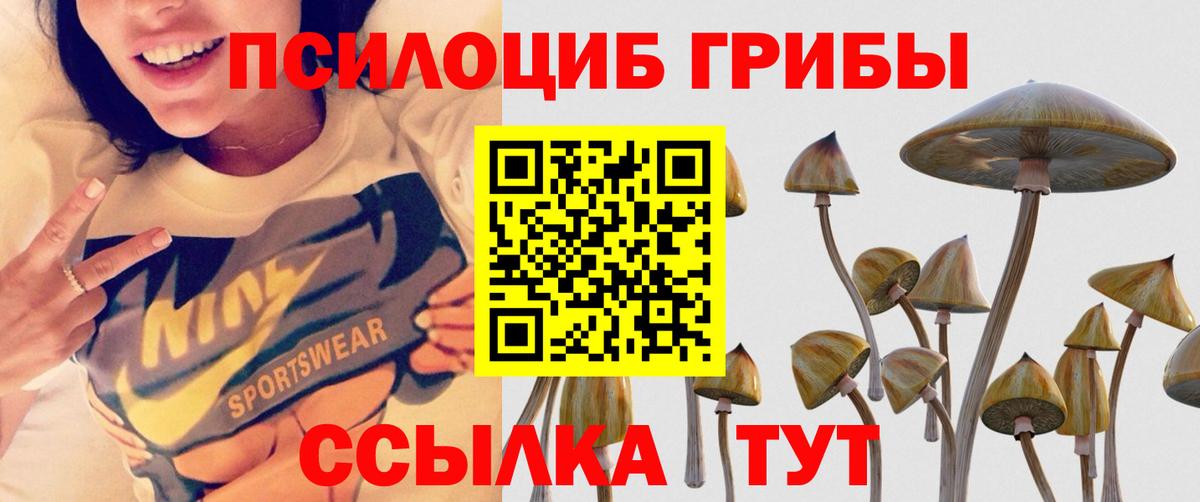 Псилоцибиновые грибы Cubensis  Вход с VPN  Избербаш 